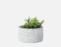 LIVI II artificial potted plant 20 cm