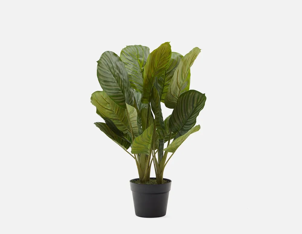ALLY artificial potted plant 55 cm