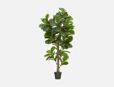 FIDDLE TREE artificial potted plant 190 cm