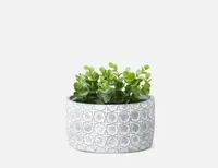 LIVI I artificial potted plant 17 cm