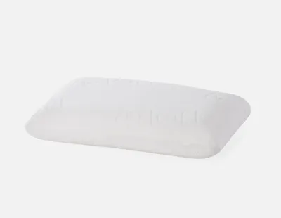 LOFT luxurious latex eucalyptus pillow