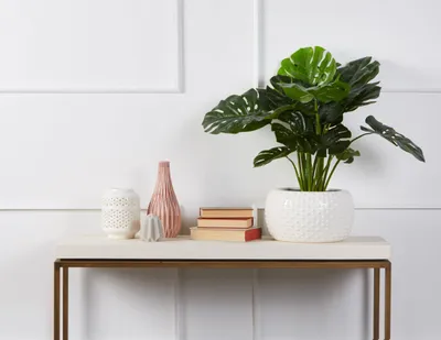 MONSTERA II artificial potted plant 60 cm
