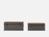 FERRY set of 2 storage trunks