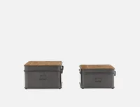 FERRY set of 2 storage trunks