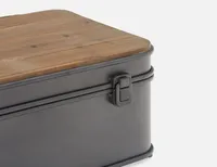 FERRY set of 2 storage trunks