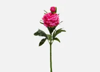 PEONY artificial flower 61 cm