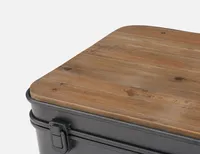 FERRY set of 2 storage trunks