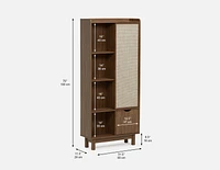 ELLINGTON contemporary bookcase