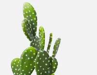 OPUNTIA artificial potted cactus 41 cm