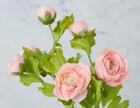 RANUNCULUS artificial flower 60 cm