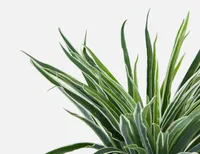 GRASS artificial potted plant 30 cm