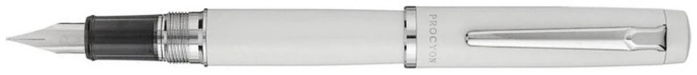 Stylo plume Platinum