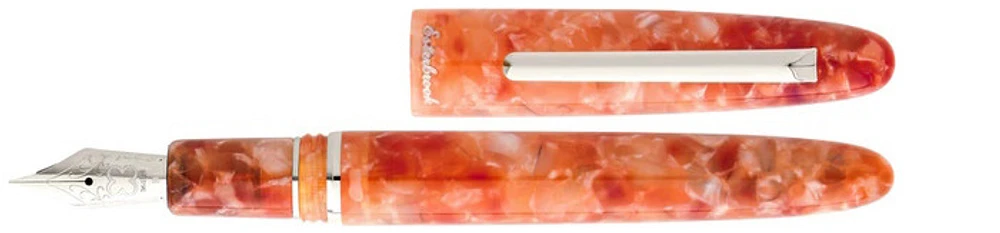 Stylo plume Esterbrook, série Petrified Forest - Édition Limitée Estie Orange CT (Standard)