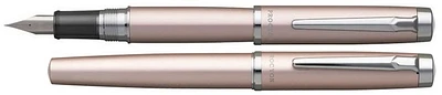 Stylo plume Platinum