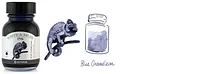 Bouteille d'encre Octopus Fluids, série Write & Draw Ink Encre bleue (Chameleon) - 50ml