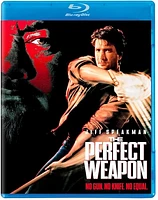 Perfect Weapon