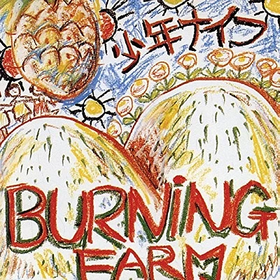 Burning Farm