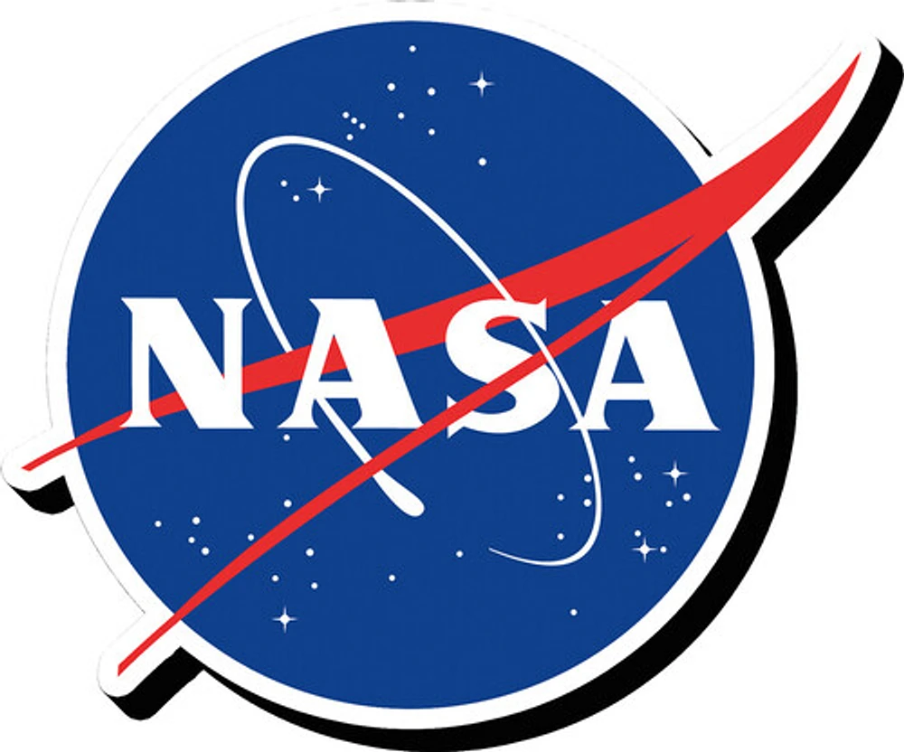 NASA Logo Funky Chunky Magnet