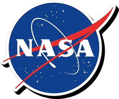 NASA Logo Funky Chunky Magnet