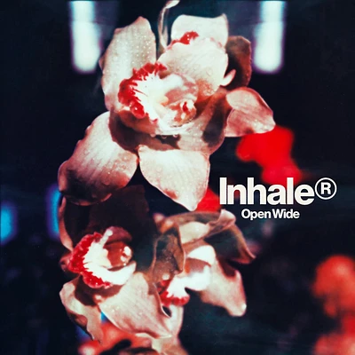 INHALER / OPEN WIDE