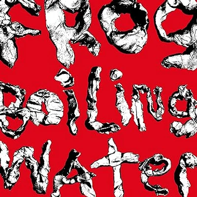 DIIV / FROG IN BOILING WATER(LP)