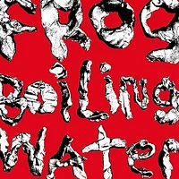 DIIV / FROG IN BOILING WATER(LP)