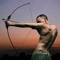 ALEXANDER, OLLY / POLARI