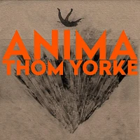 Anima Deluxe Double Vinyl (Hardback Book Edition)