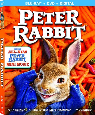PETER RABBIT BLU BIL