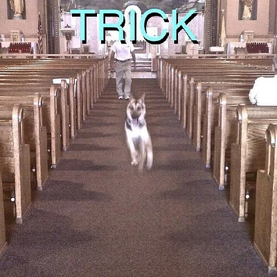 Trick [LP With Bonus 7-Inch]