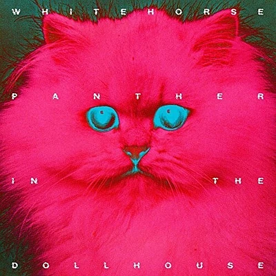 Panther In The Dollhouse
