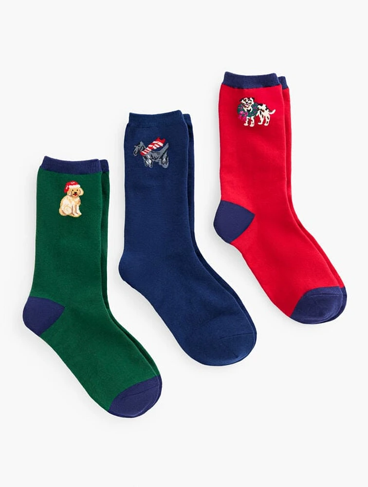 Dog 3-Pack Sock Gift Set