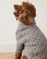 Marled Cashmere Cable Knit Dog Sweater