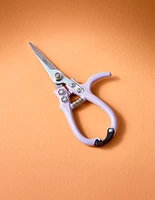 Pruning Shears