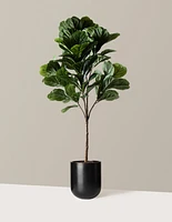 Faux Fiddle Leaf Fig Tree