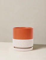 Isabella Planter