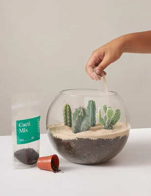 DIY Terrarium Kit