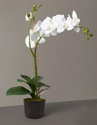 Faux Orchid