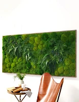 Large Preserved Living Wall 68" x 33"