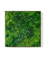 Oversized Preserved Living Wall 68" x 68"