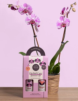 Orchid Care Duo