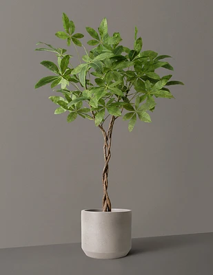 Faux Braided Money Tree