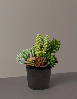 Faux Succulent Arrangement