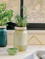 Mister & Rosemary Garden Jar