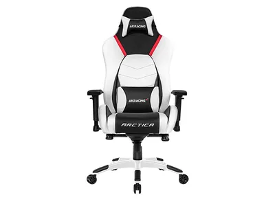 AKRACING Masters Series Premium Gaming Chair - Arctica