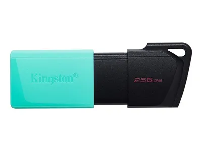 Kingston 256 GB USB 3.2 Gen 1 Datatraveler Exodia M USB Flash Drive - Teal