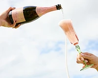 Trius Brut Rosé VQA