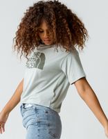 THE NORTH FACE Half Dome Gray Crop Tee