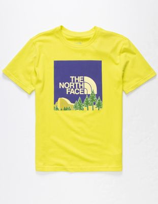 THE NORTH FACE Mountain Box Boys T-Shirt