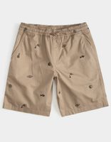 VANS Range Boys Shorts